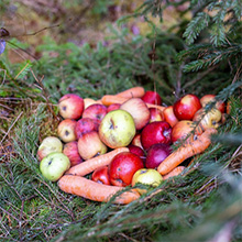 Mikulášská pomoc pro CHKO Křivoklátsko