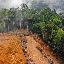 Nové evropské nařízení EUDR